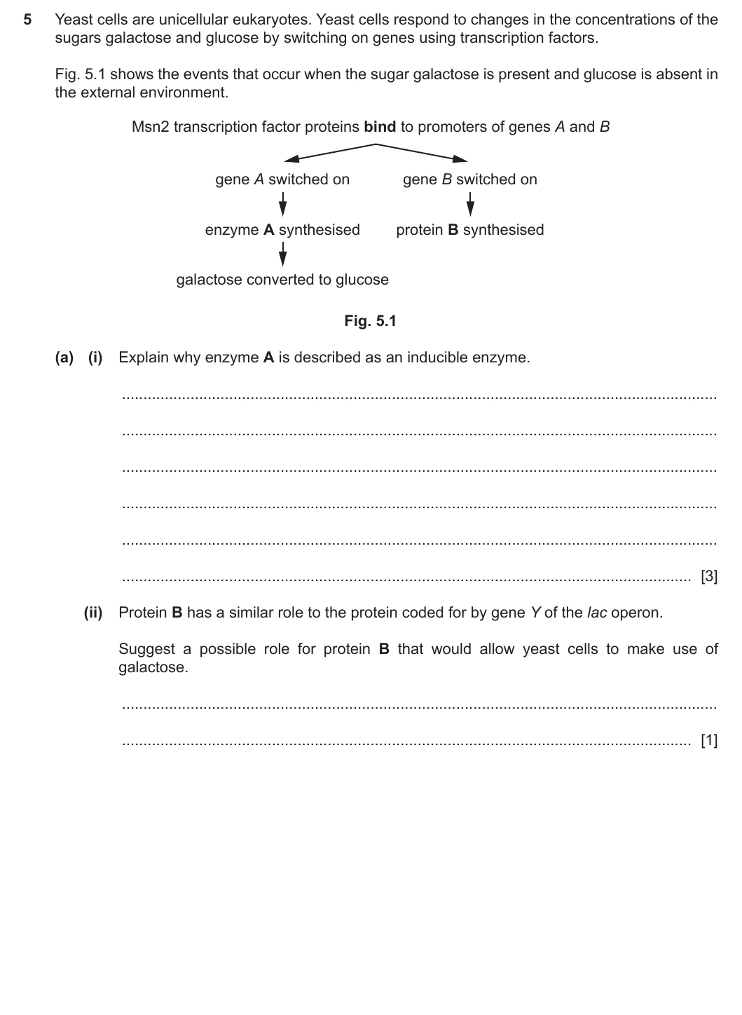 9700/41/M/J/20 question 5
