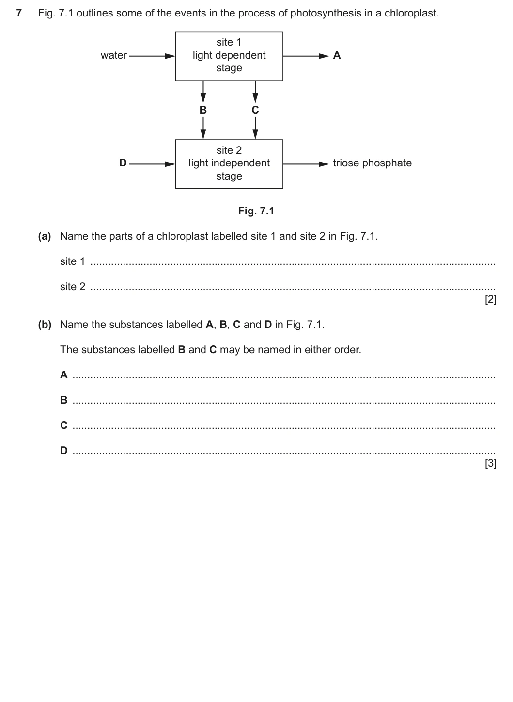 9700/42/F/M/20 question 7