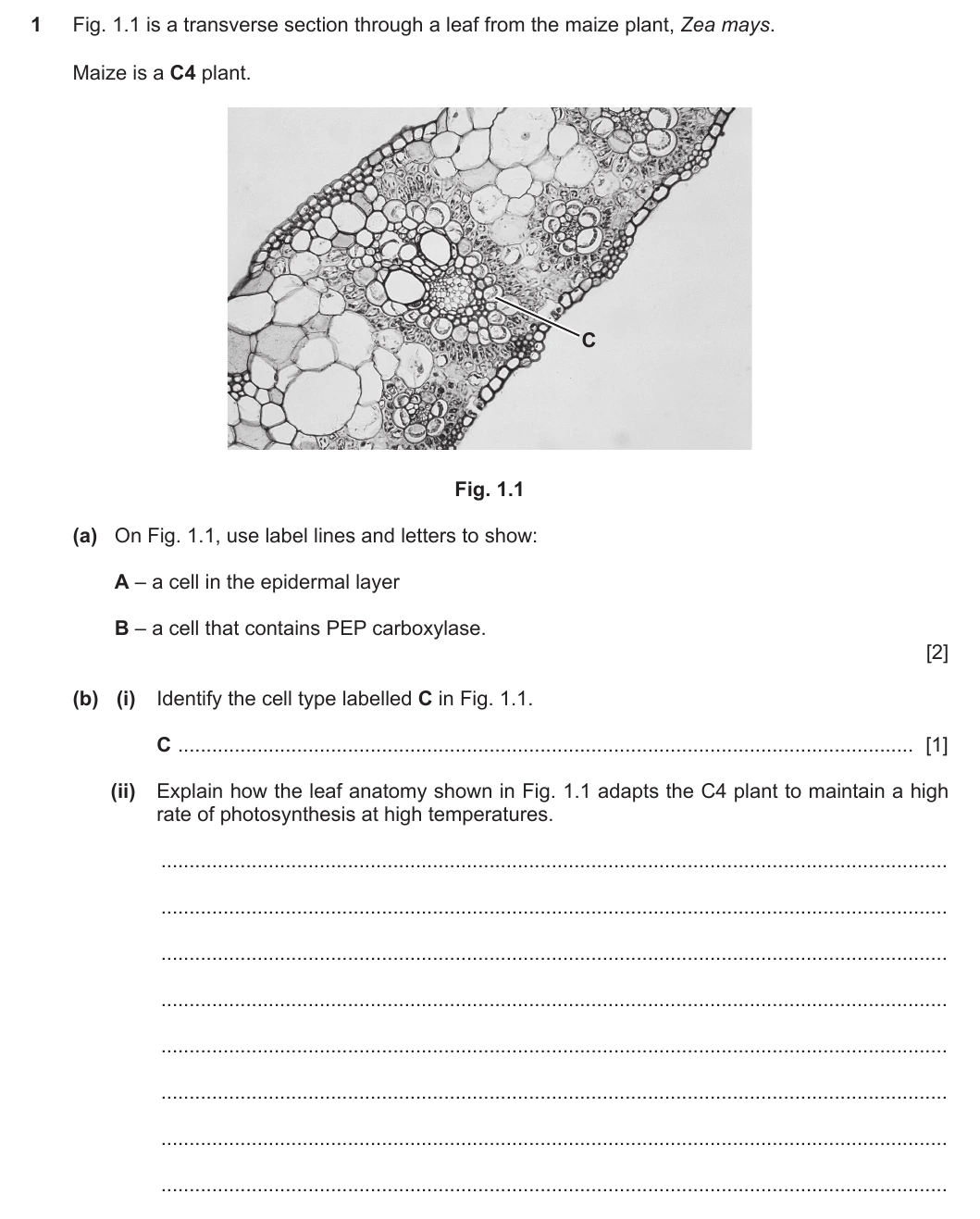 9700/41/O/N/20 question 1