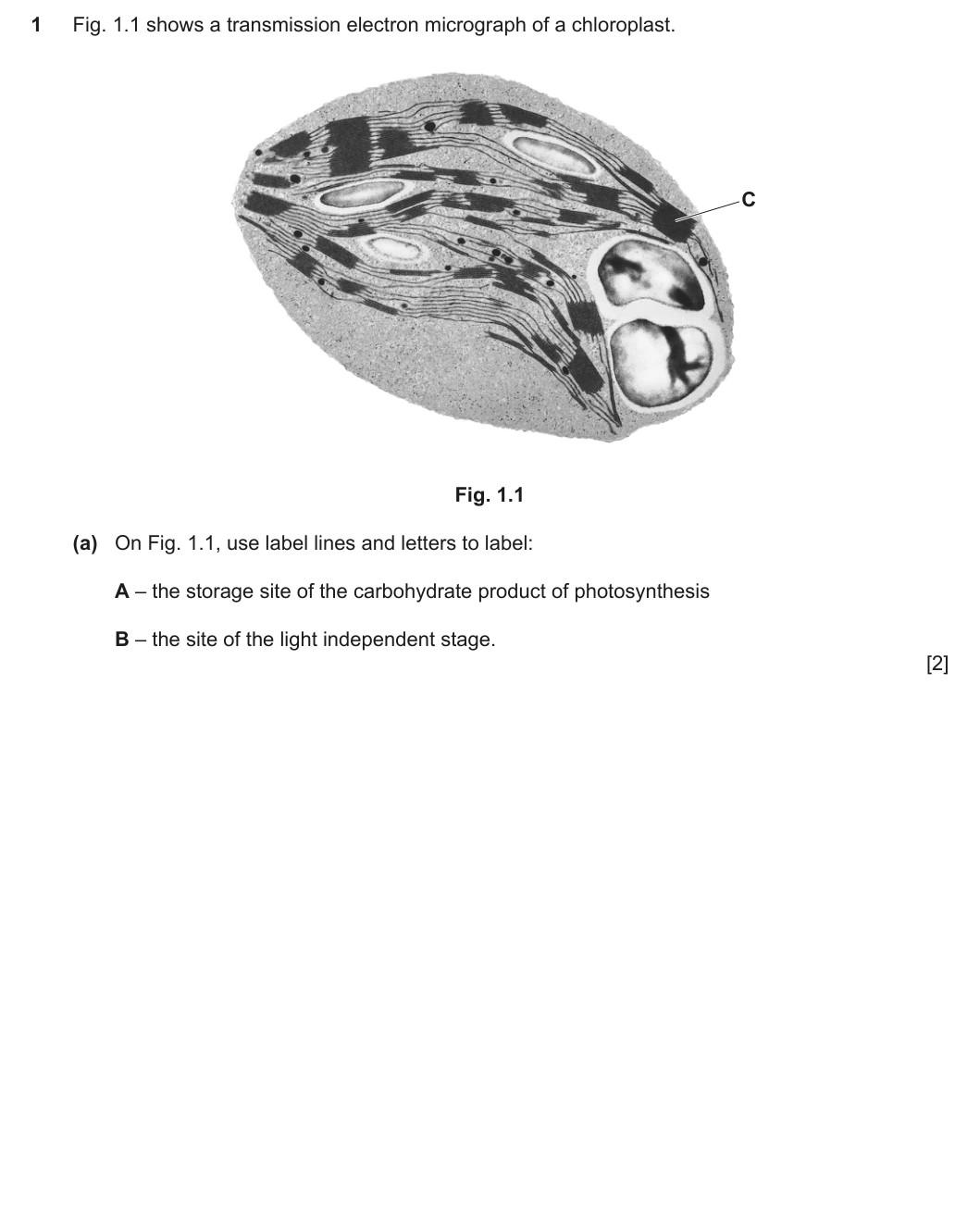 9700/42/O/N/20 question 1