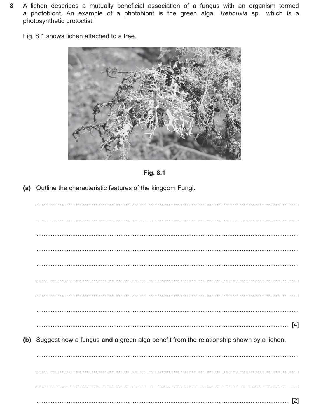 9700/42/M/J/25 question 8