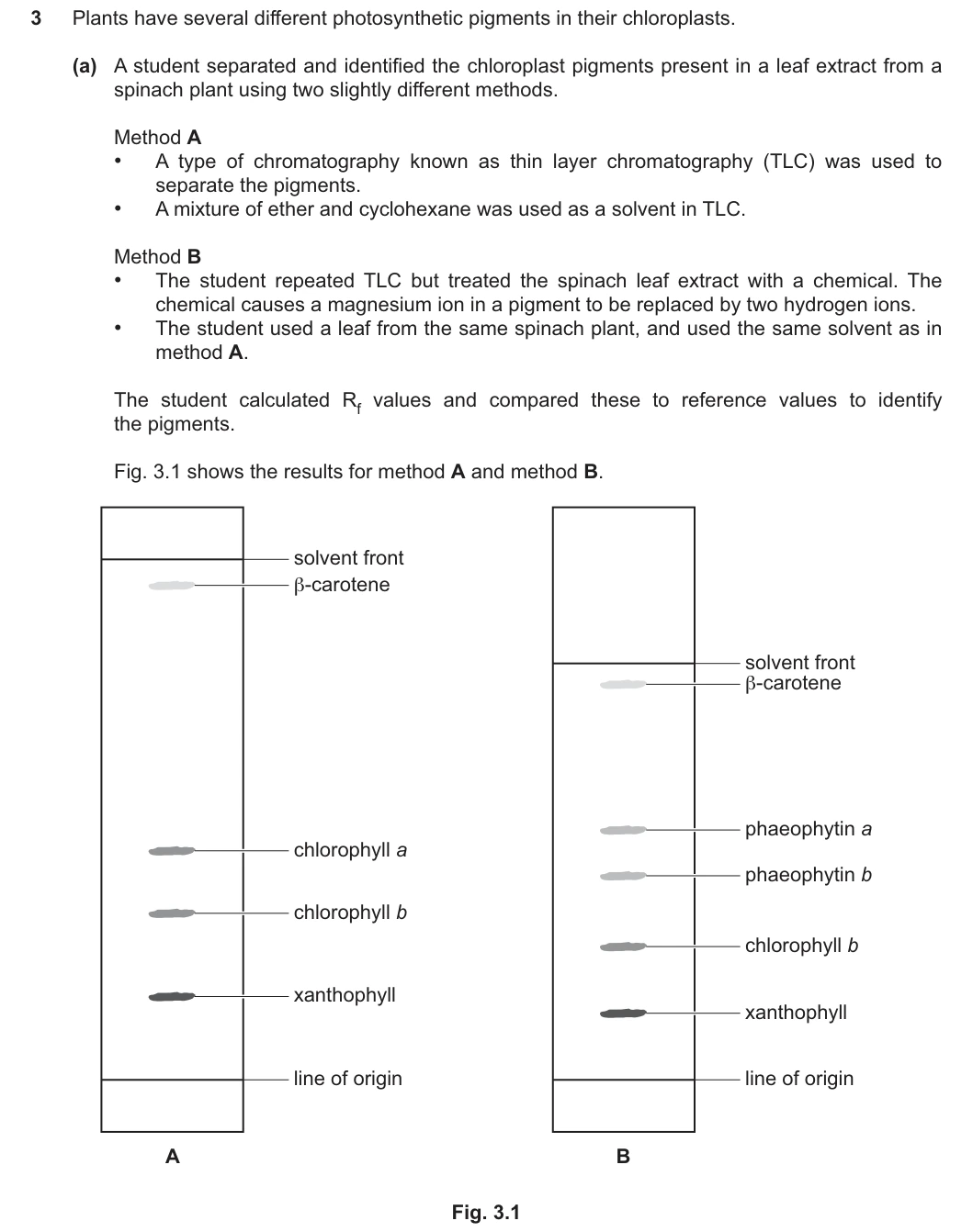 9700/43/O/N/25 question 3