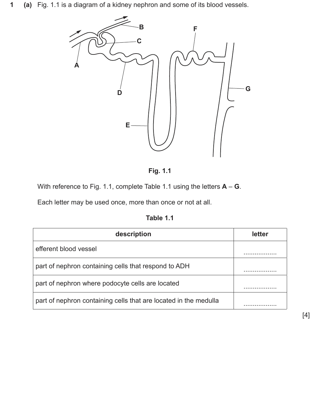 9700/41/O/N/21 question 1