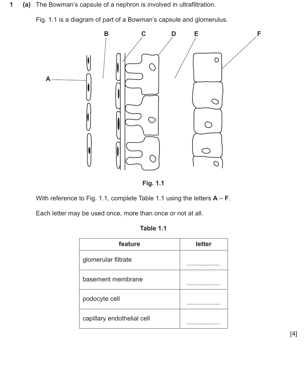 9700/42/O/N/21 question 1