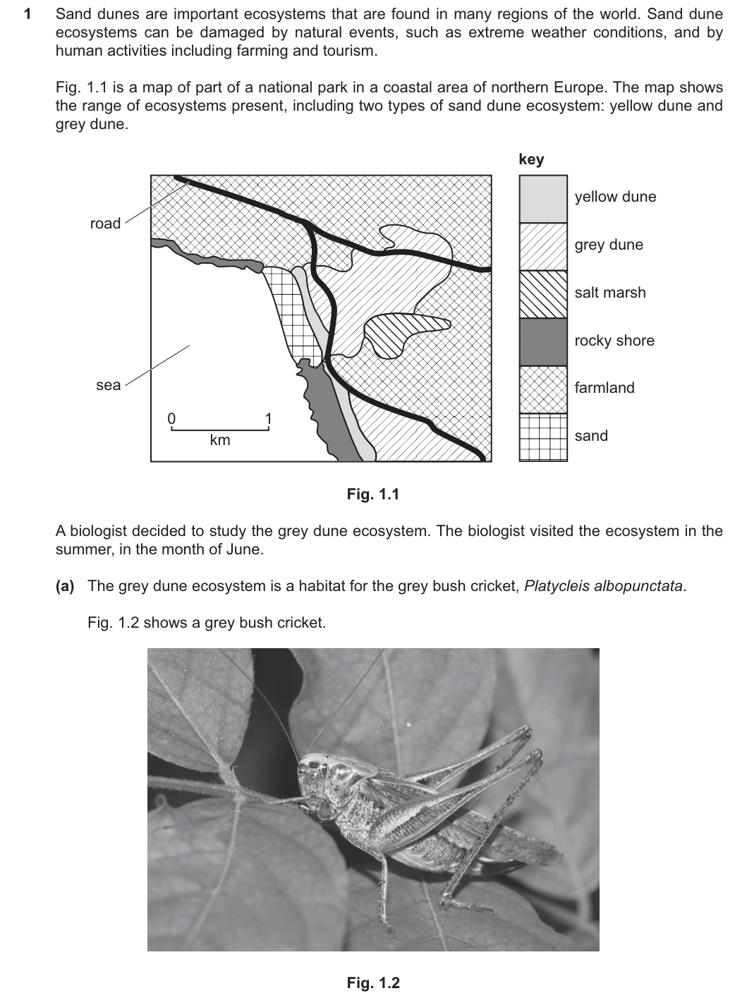 9700/52/F/M/25 question 1